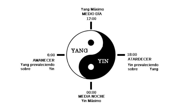 yin-yang-22